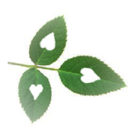 New Adult Study Group Begins April 6