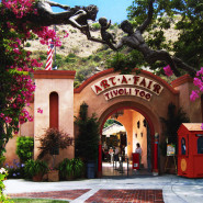 All Saints Heading to Laguna Beach Art Festivals in July