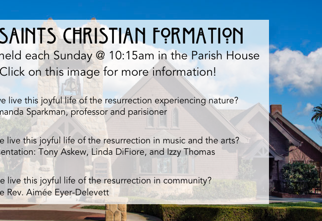 May Youth & Adult Christian Formation Schedule