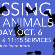Blessing of the Animals October 6