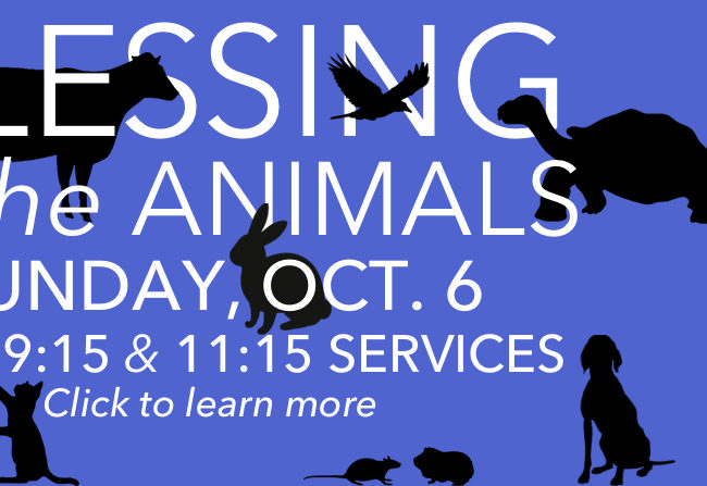 Blessing of the Animals October 6