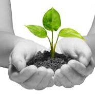 Lenten Formation Series: Called to Life
